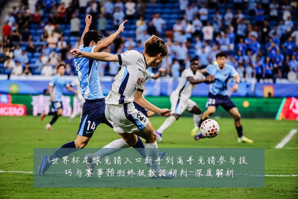 世界杯足球竞猜入口新手到高手竞猜参与技巧与赛事预测终极数据研判-深度解析